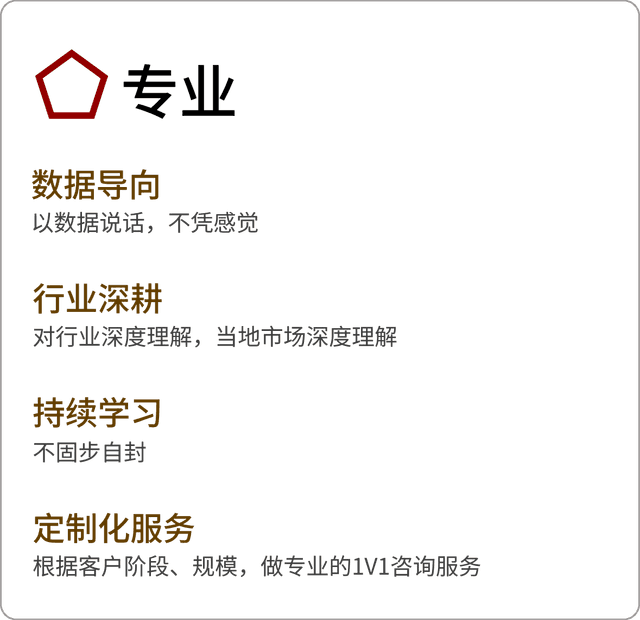 企业价值观-专业